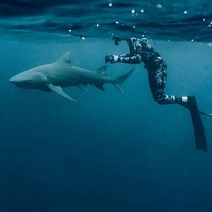 Meet your Posher, Spencer